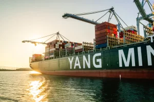 Smartare supply chain: så effektiviserar B2B-företag sin terminalhantering